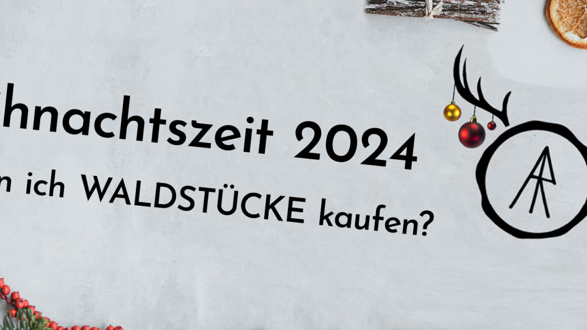 Weihnachtszeit 2024 – Wo kann ich Waldstücke kaufen?